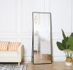 Black 65 x 22 In Metal Stand full-length mirror